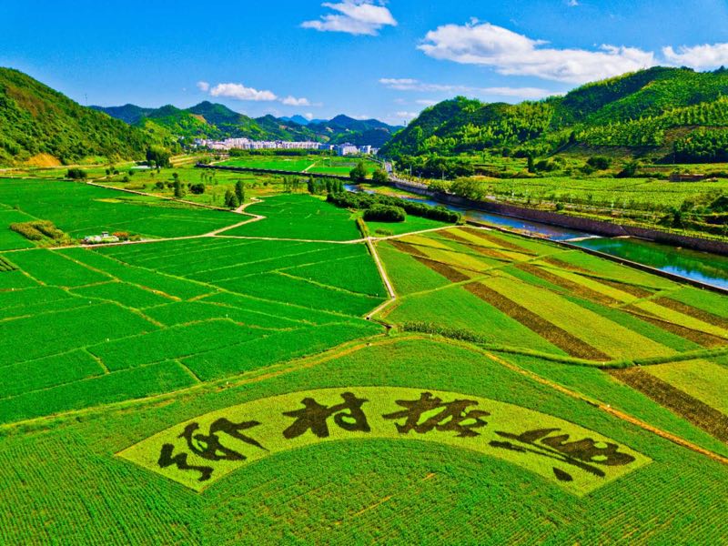 乡村振兴须科学规划 应与脱贫攻坚有效衔接